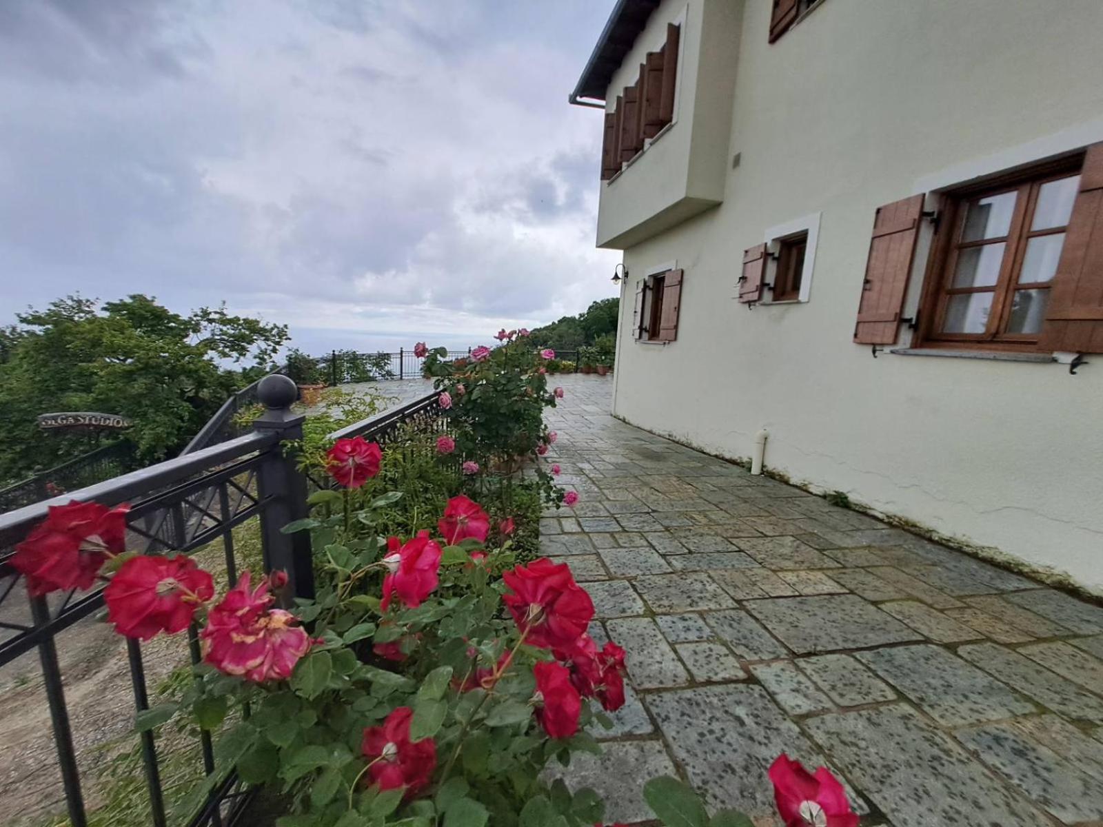 Olga Studios Tsagarada Exterior foto